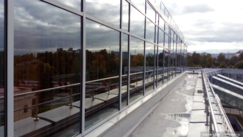 Сальмо на Ветеринарной конференции