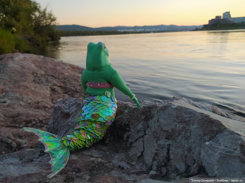 Фантастические лягушки — Авторские игрушки из разных материалов: синельная проволока (фото 8)