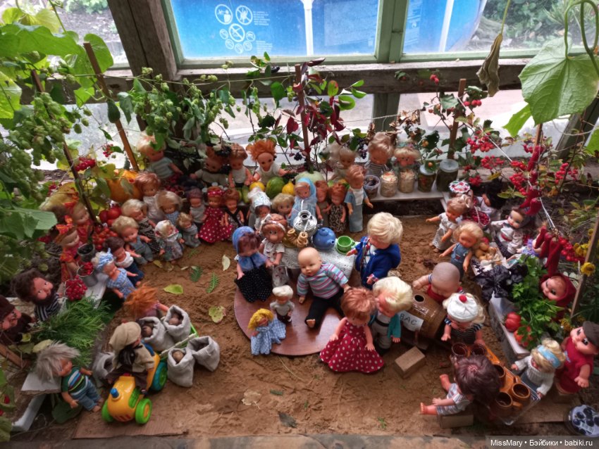 "Праздник урожая" в деревне Васильки. Фотоотчет