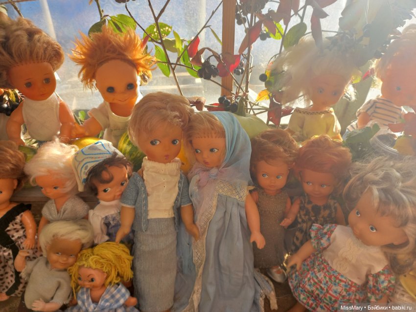 "Праздник урожая" в деревне Васильки. Фотоотчет