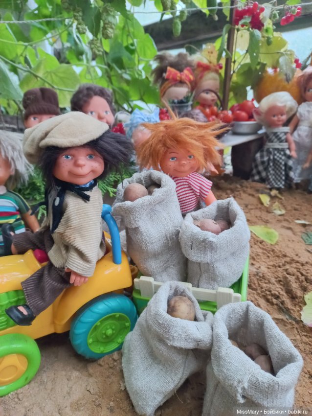 "Праздник урожая" в деревне Васильки. Фотоотчет