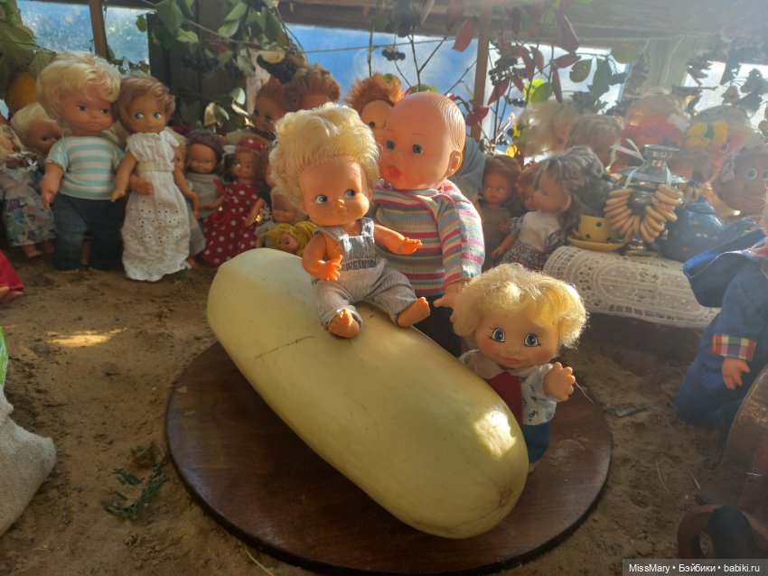 "Праздник урожая" в деревне Васильки. Фотоотчет