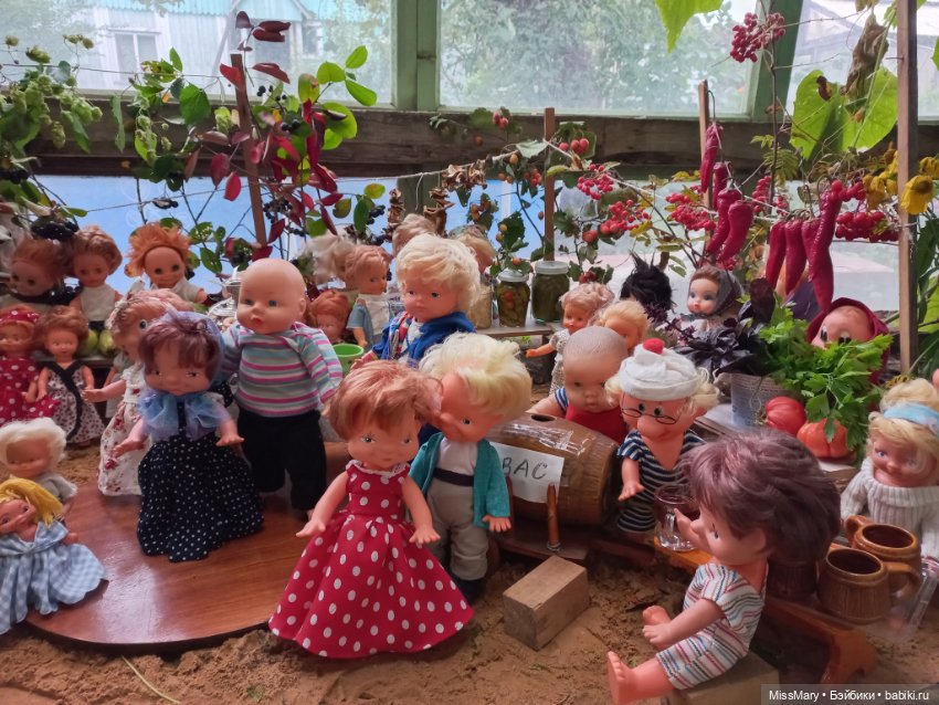 "Праздник урожая" в деревне Васильки. Фотоотчет