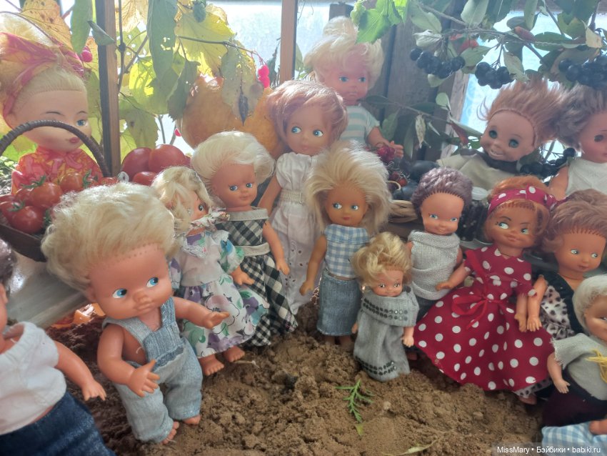 "Праздник урожая" в деревне Васильки. Фотоотчет