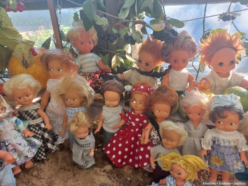 "Праздник урожая" в деревне Васильки. Фотоотчет