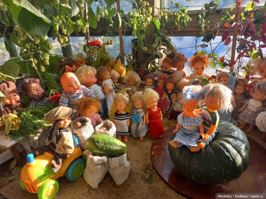 "Праздник урожая" в деревне Васильки. Фотоотчет