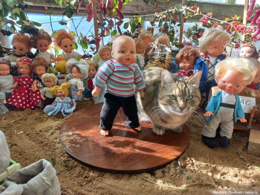"Праздник урожая" в деревне Васильки. Фотоотчет