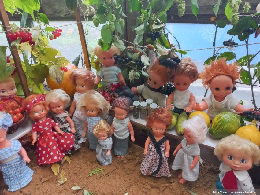 "Праздник урожая" в деревне Васильки. Фотоотчет