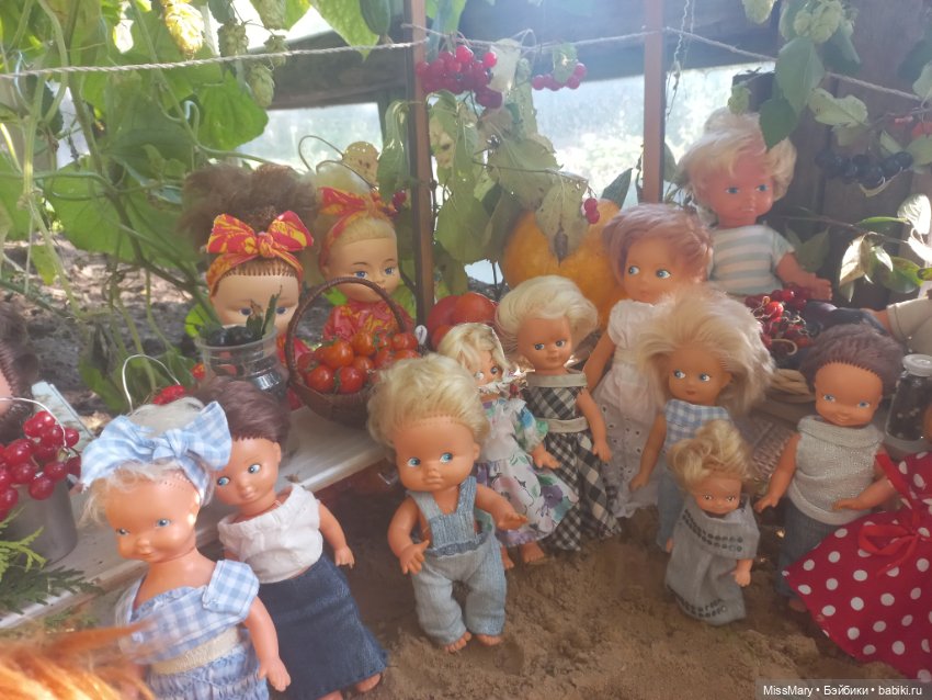 "Праздник урожая" в деревне Васильки. Фотоотчет