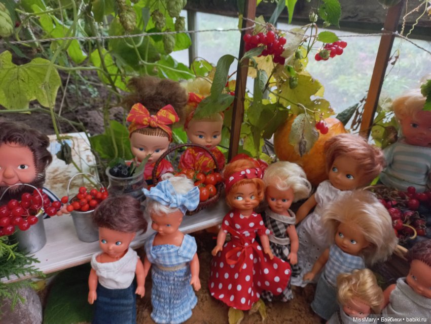 "Праздник урожая" в деревне Васильки. Фотоотчет