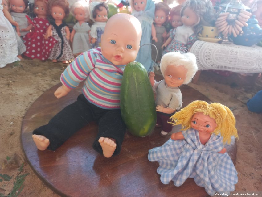 "Праздник урожая" в деревне Васильки. Фотоотчет