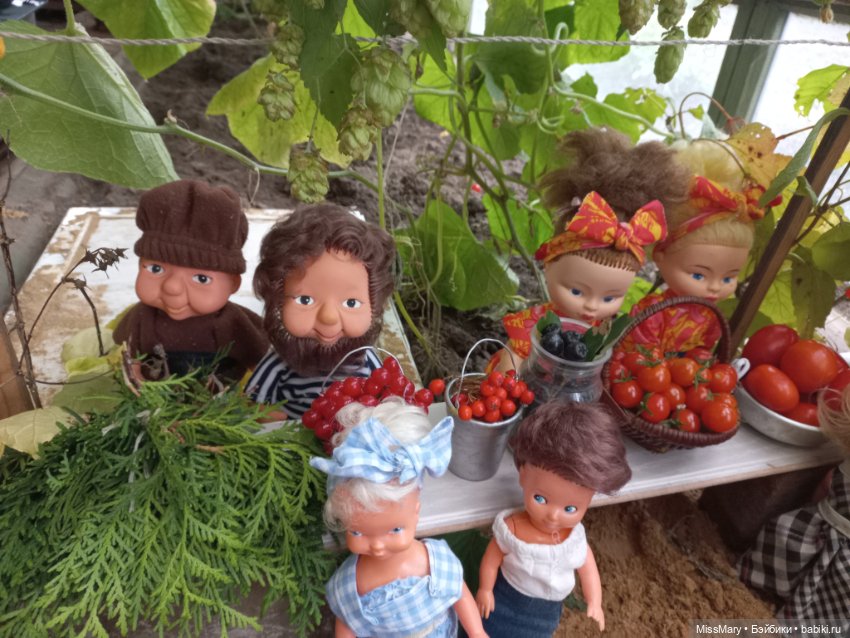 "Праздник урожая" в деревне Васильки. Фотоотчет