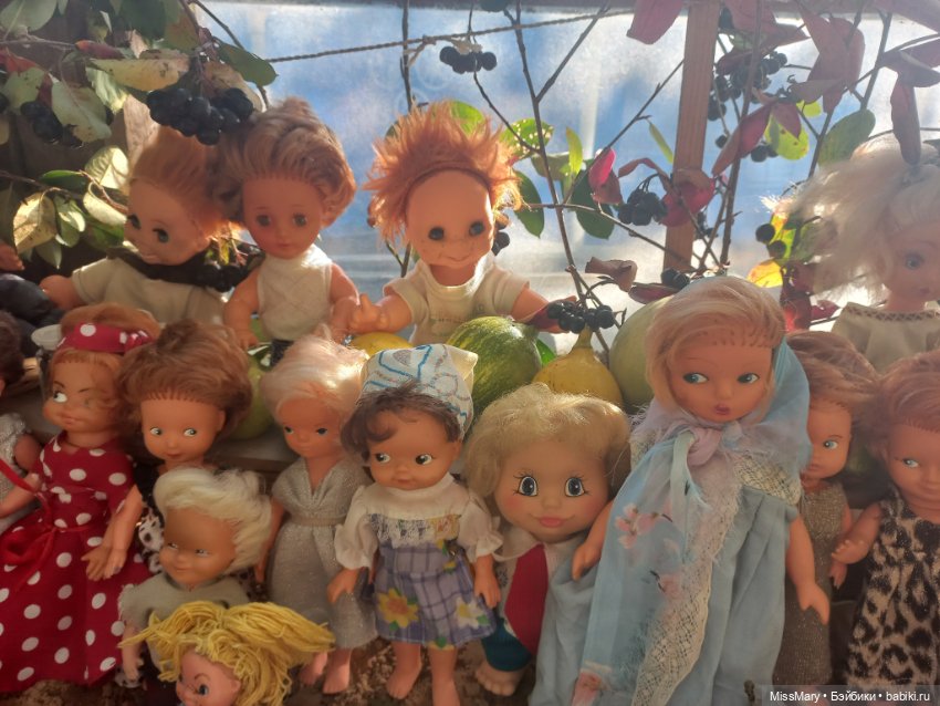 "Праздник урожая" в деревне Васильки. Фотоотчет