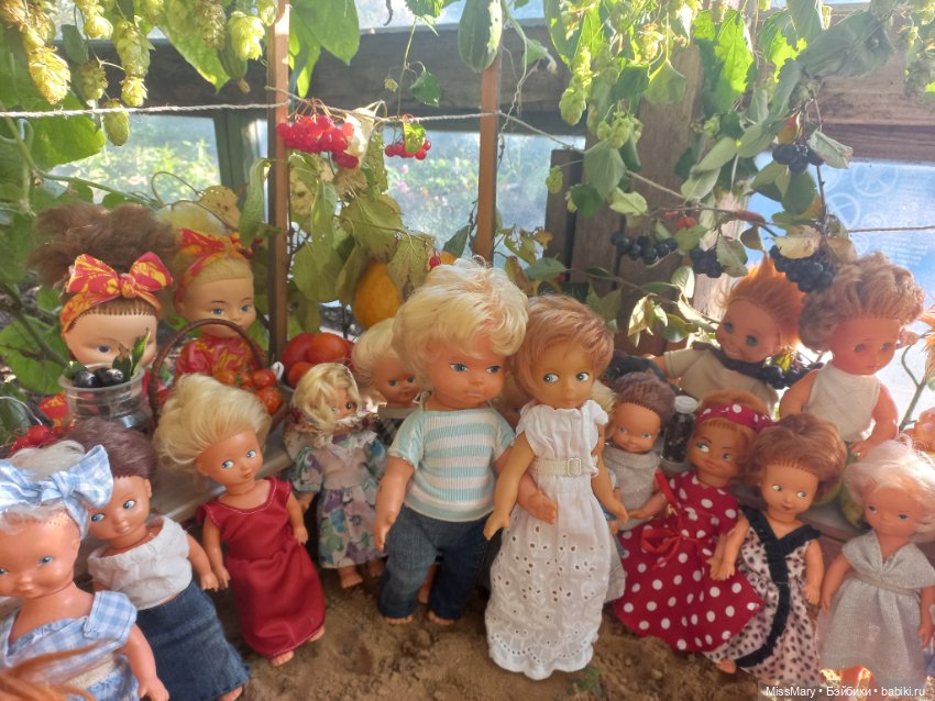 "Праздник урожая" в деревне Васильки. Фотоотчет