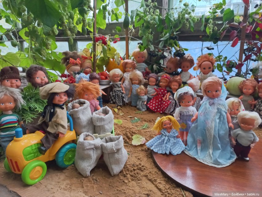 "Праздник урожая" в деревне Васильки. Фотоотчет