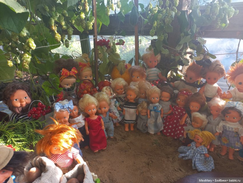 "Праздник урожая" в деревне Васильки. Фотоотчет