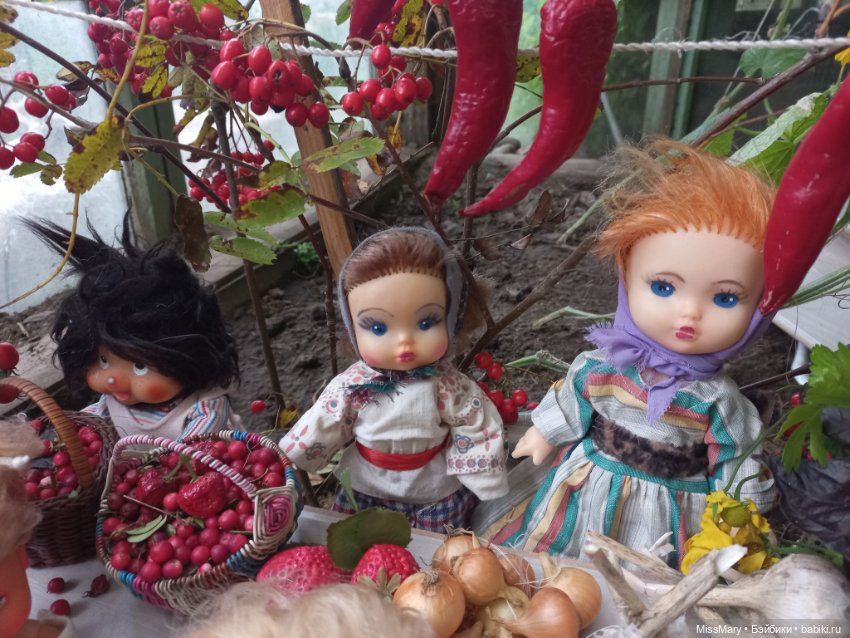 "Праздник урожая" в деревне Васильки. Фотоотчет (фото 7)