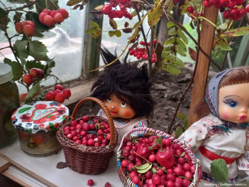 "Праздник урожая" в деревне Васильки. Фотоотчет (фото 8)