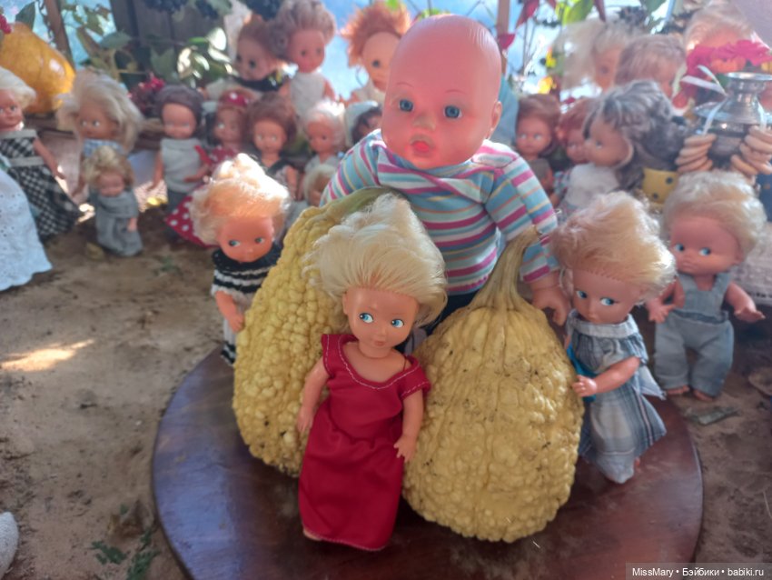 "Праздник урожая" в деревне Васильки. Фотоотчет