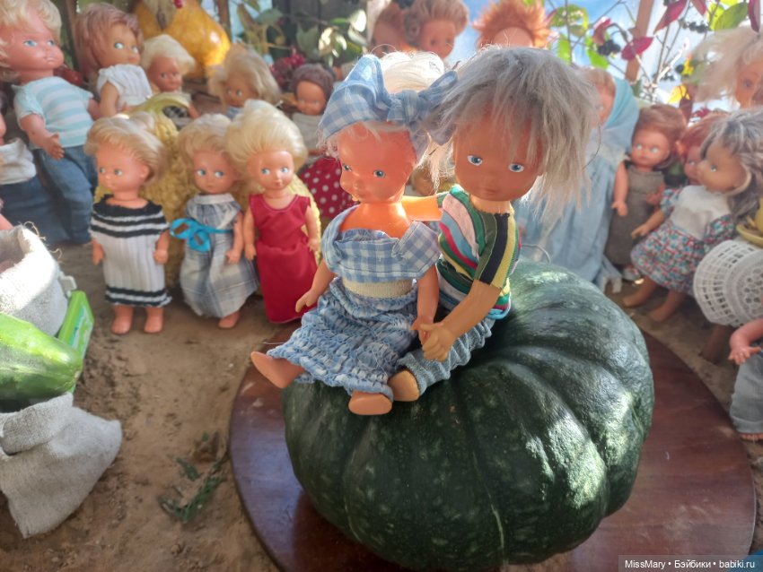 "Праздник урожая" в деревне Васильки. Фотоотчет