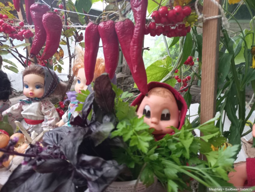 "Праздник урожая" в деревне Васильки. Фотоотчет (фото 6)