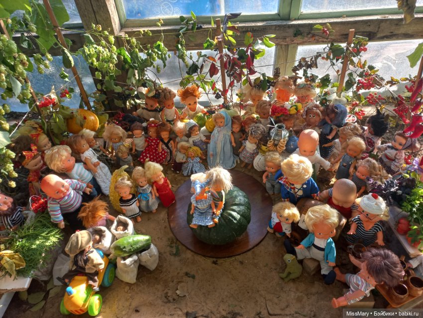 "Праздник урожая" в деревне Васильки. Фотоотчет