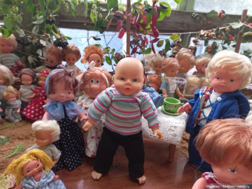 "Праздник урожая" в деревне Васильки. Фотоотчет