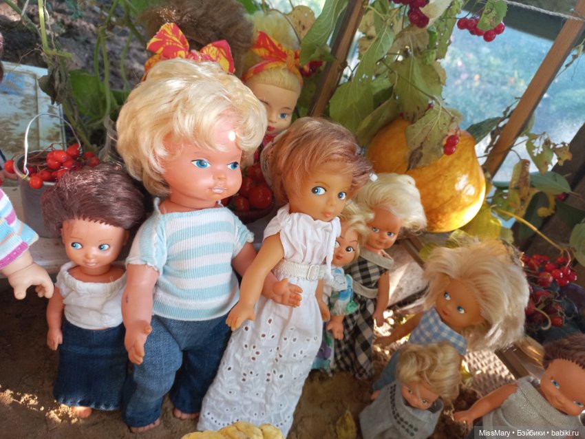 "Праздник урожая" в деревне Васильки. Фотоотчет