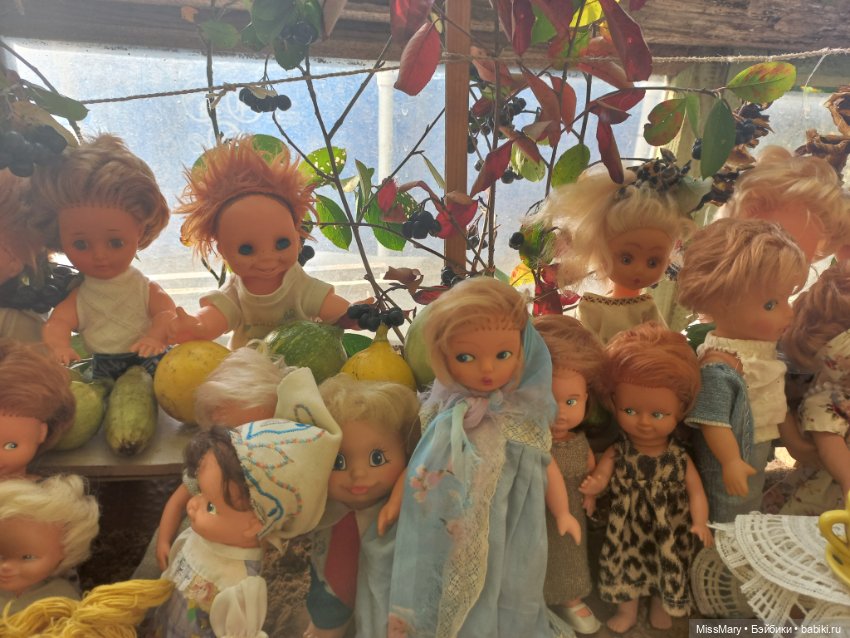 "Праздник урожая" в деревне Васильки. Фотоотчет