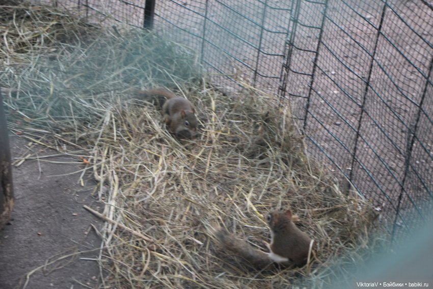 Прогулка по Калининграду (часть первая)