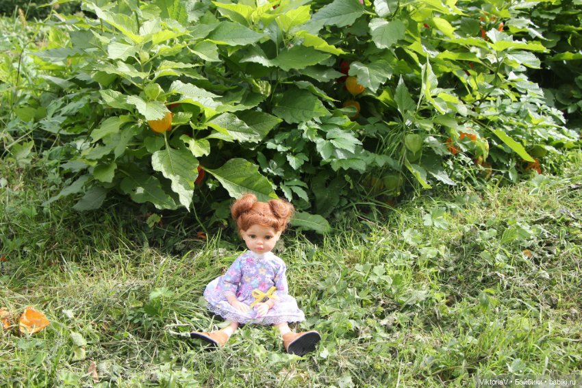 Прогулка по Калининграду (часть первая) (фото 10)