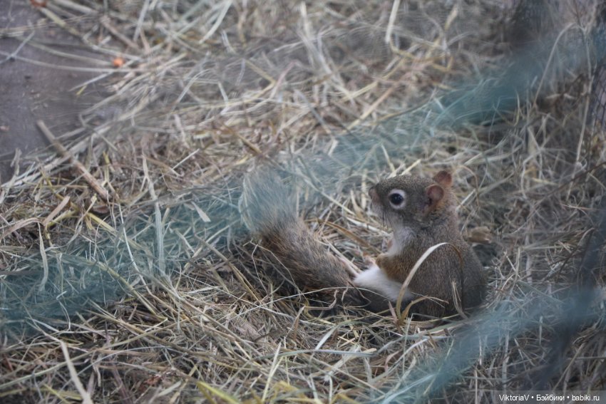 Прогулка по Калининграду (часть первая)