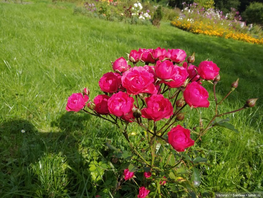 Прогулка по Калининграду (часть первая)