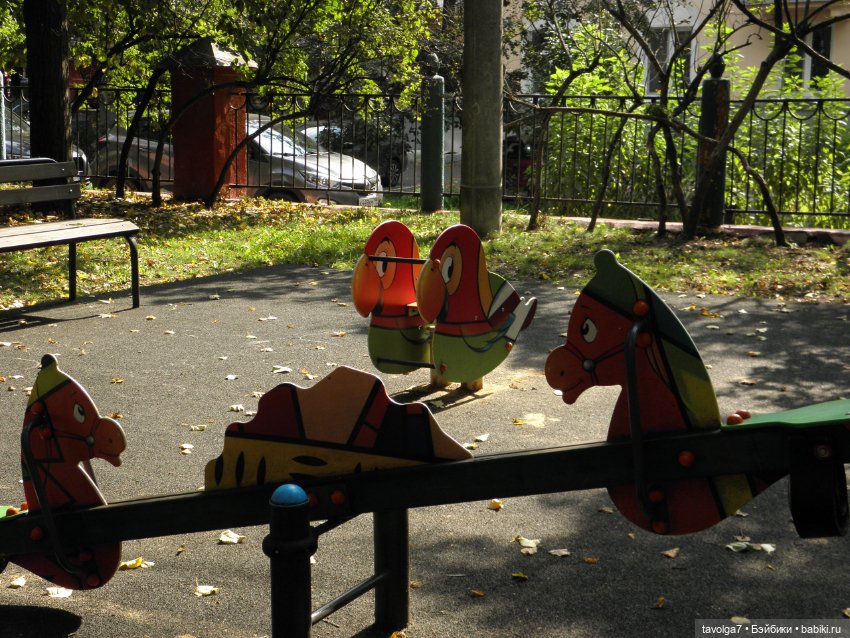 Очень необычный гибрид Lollipop Girls (фото 10)