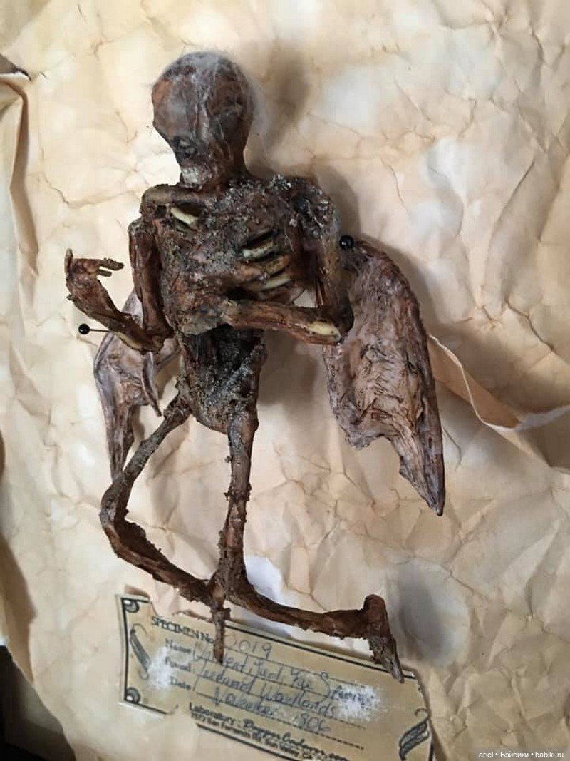 Куклы от Vetti's Freak Dolls