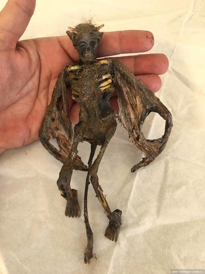 Куклы от Vetti's Freak Dolls