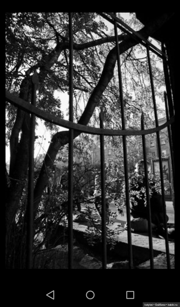 Как сделать фото лучше. Че Бэ