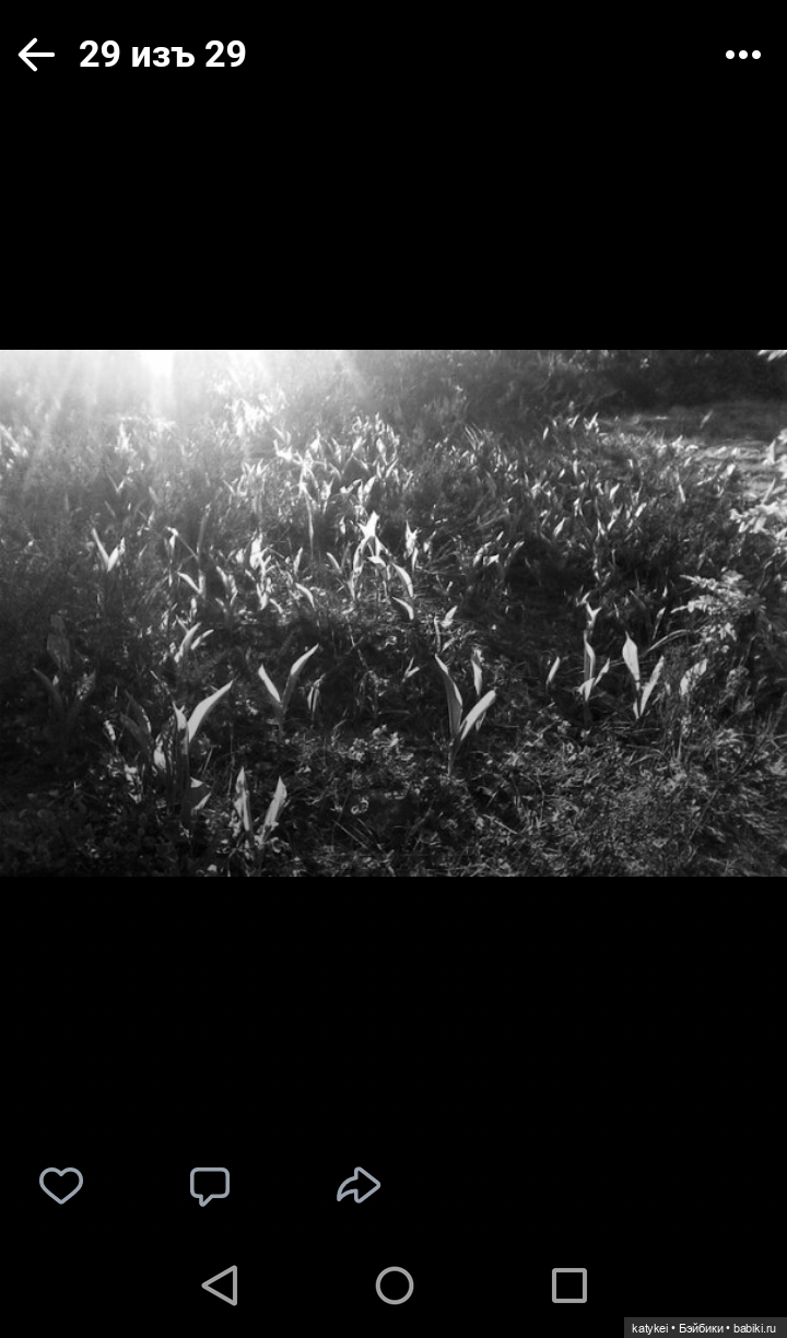 Как сделать фото лучше. Че Бэ