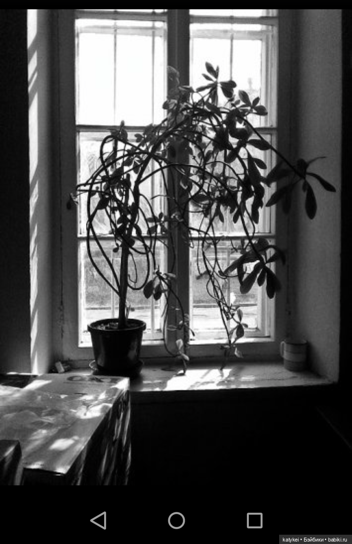 Как сделать фото лучше. Че Бэ (фото 10)