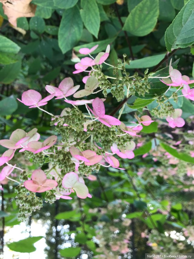 Марго и краски осени. Куколка от Heidi Plusczok