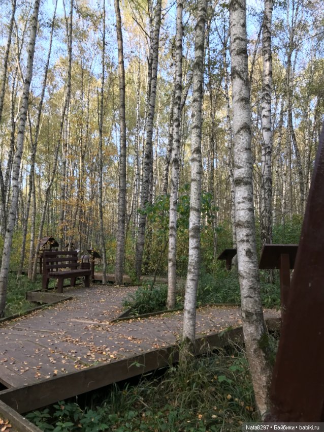 Марго и краски осени. Куколка от Heidi Plusczok (фото 6)