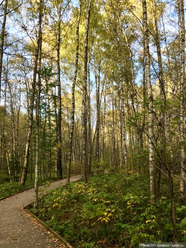 Марго и краски осени. Куколка от Heidi Plusczok (фото 9)