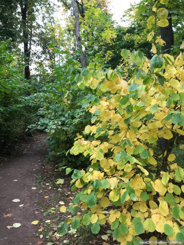 Марго и краски осени. Куколка от Heidi Plusczok