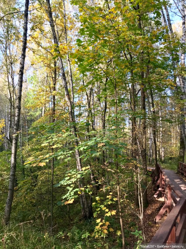 Марго и краски осени. Куколка от Heidi Plusczok (фото 8)