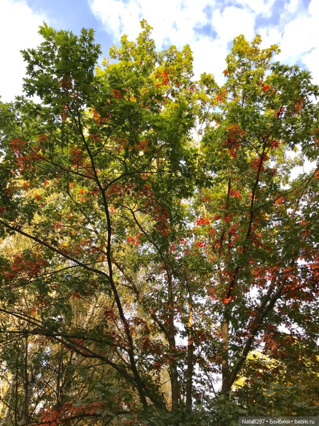 Марго и краски осени. Куколка от Heidi Plusczok