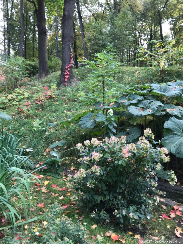 Марго и краски осени. Куколка от Heidi Plusczok