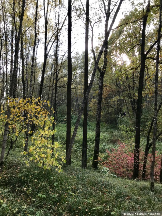 Марго и краски осени. Куколка от Heidi Plusczok (фото 7)