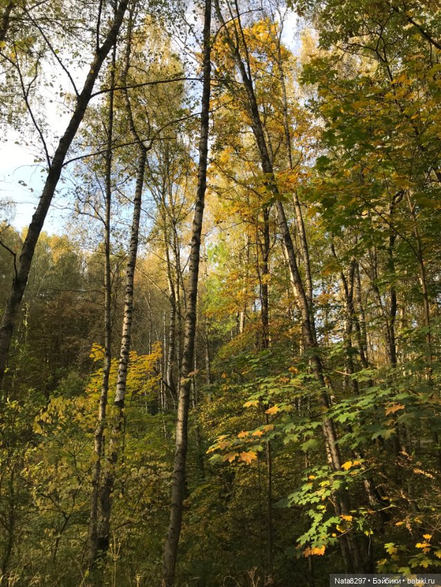 Марго и краски осени. Куколка от Heidi Plusczok (фото 10)