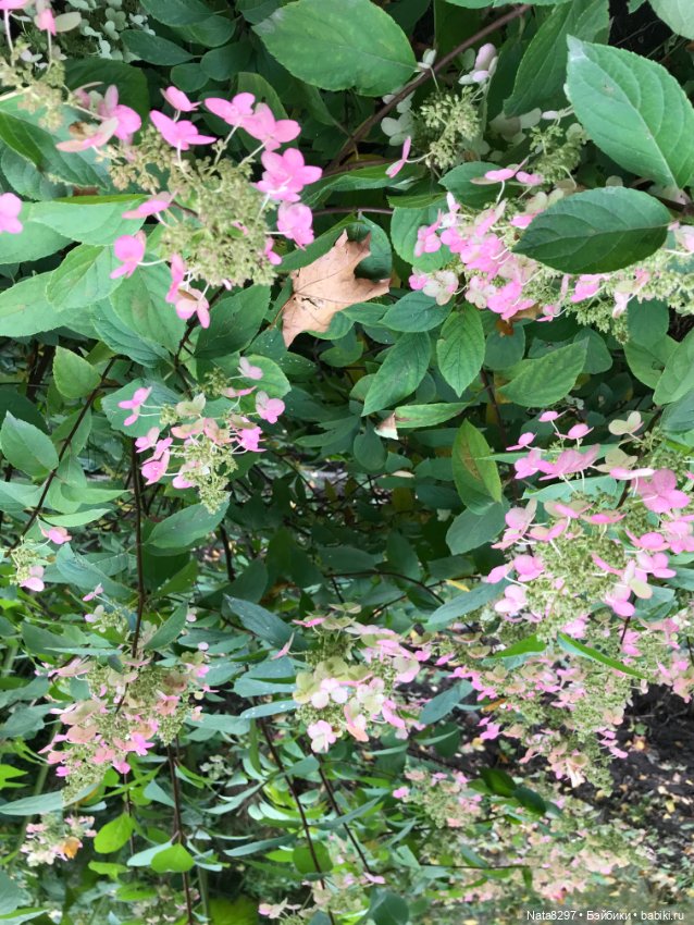 Марго и краски осени. Куколка от Heidi Plusczok