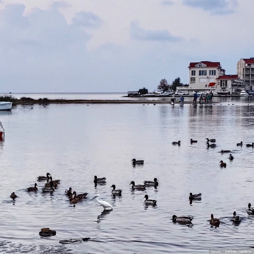 Худышка Лика — Куклы DIM (Doll in Mind): корейские BJD (БЖД)